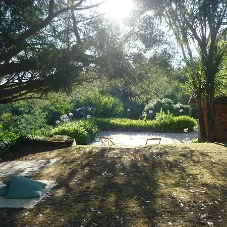 Casa Da Bela Vista, Com Piscina Privada